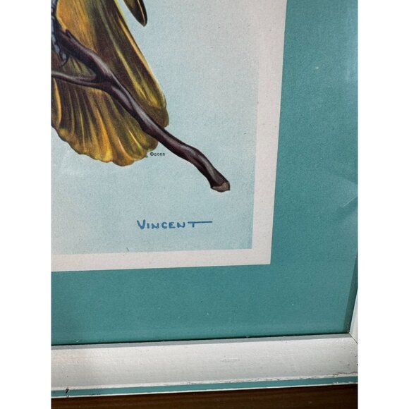 Vintage Bird Lithographs Baltimore Oriole & Tree Azalea Vincent 15"x18" Framed - Picture 3 of 8